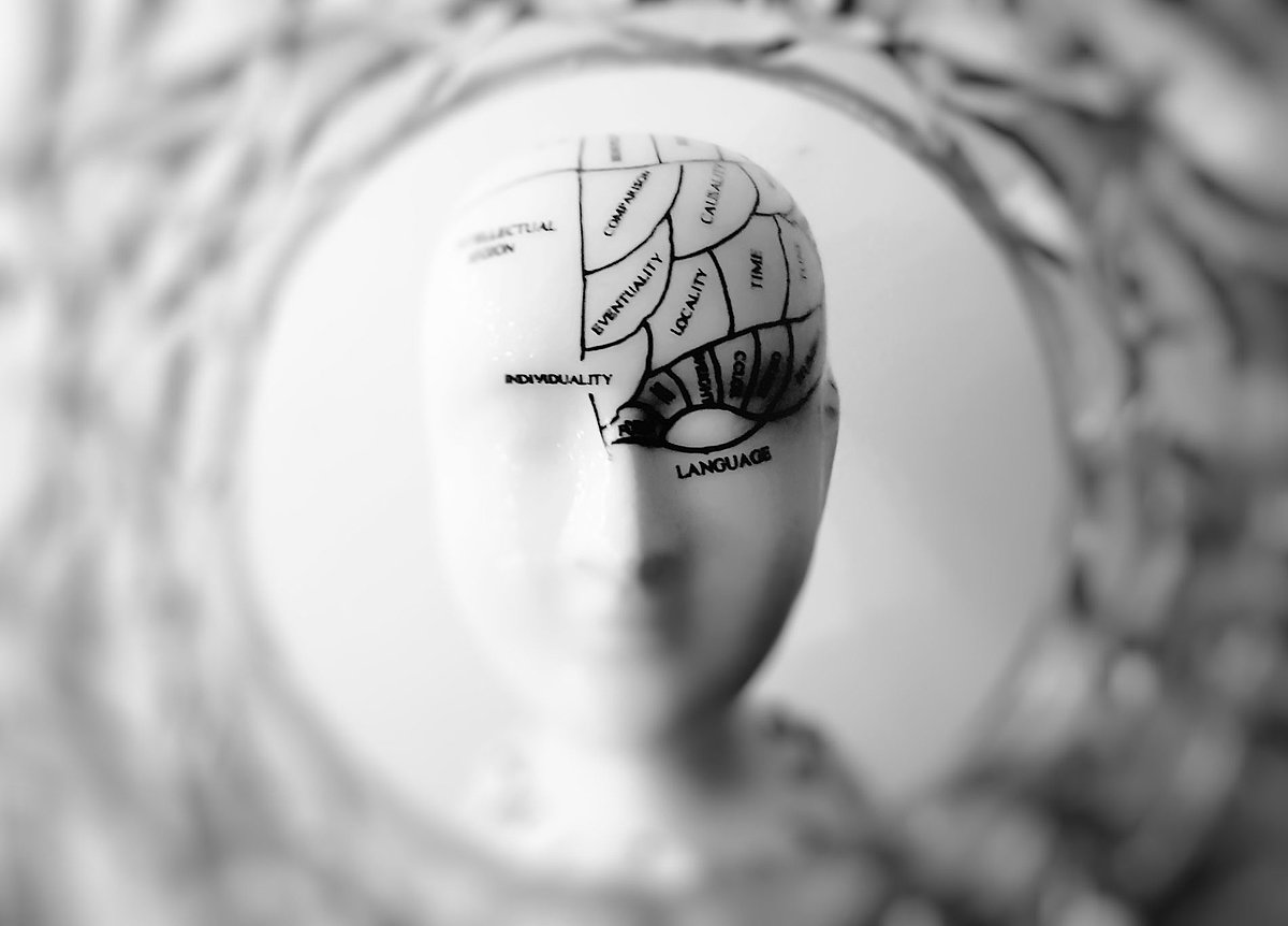 Zielgruppenspezifisches Design mit der Limbic Map